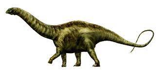 appatosaurus