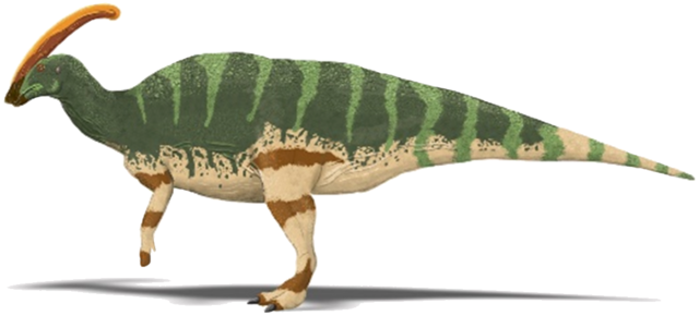 640px Parasaurolophus walkeri 1