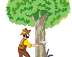 man-cutting-tree