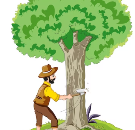 man cutting tree